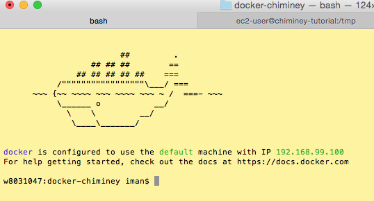 Docker Terminal on Mac OS X or Windows